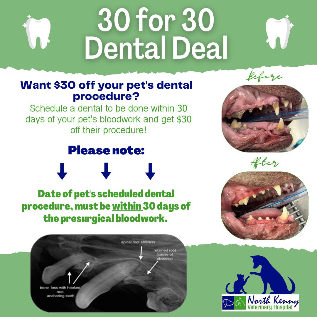 30 for 30 Dental Deal